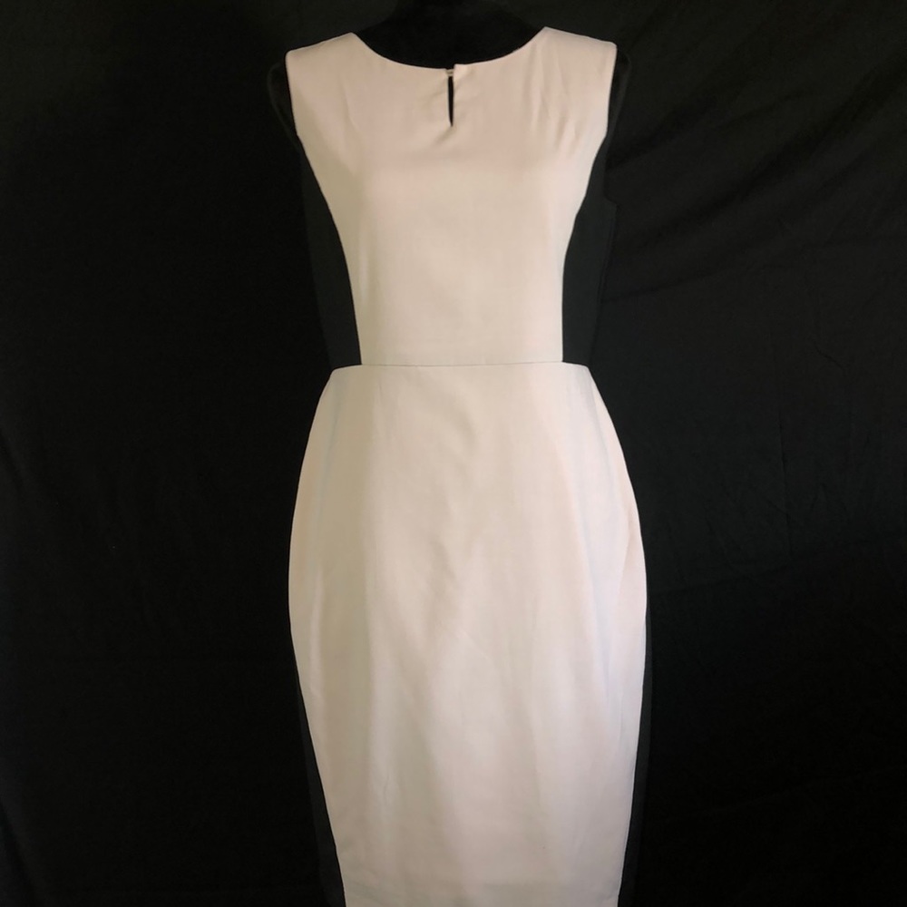 Pink & Black New York & Company Dress